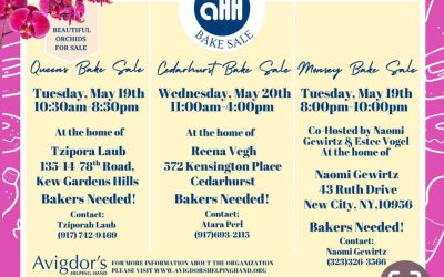 Shavuos 5786 Bake Sale